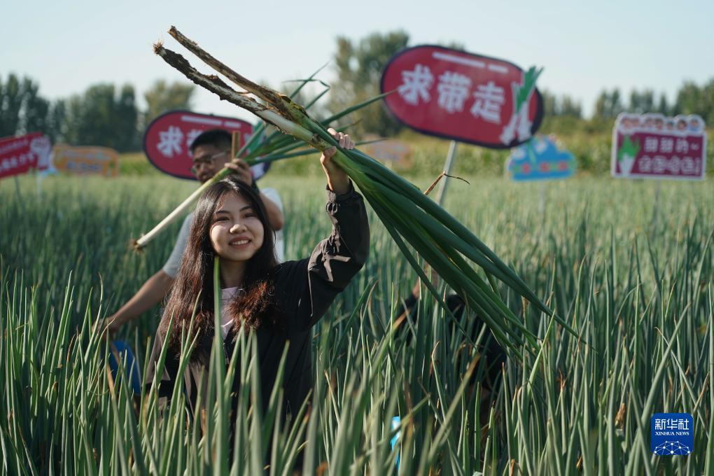搜狗浏览器